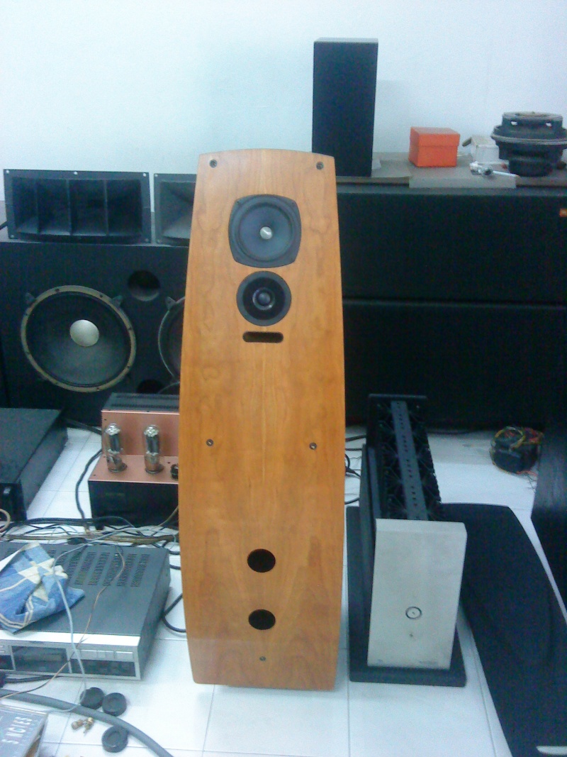 Aliante Lined pininfarina speaker (Used)SOLD Dsc02939