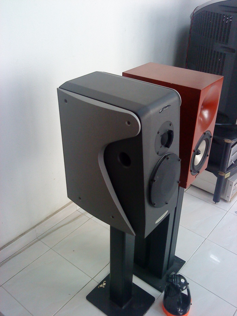 Aliante moda pininfarina speaker (Used)SOLD Dsc02940