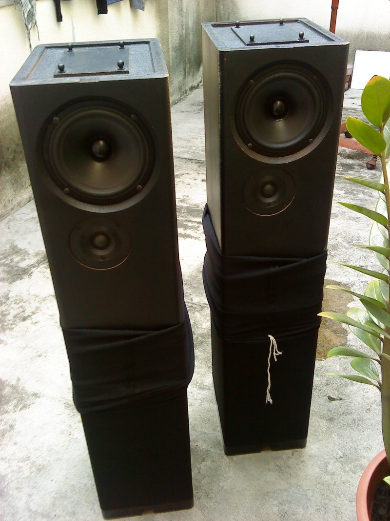 Definitive technology BP 10 bipolar speaker (Used)SOLD Dsc03148