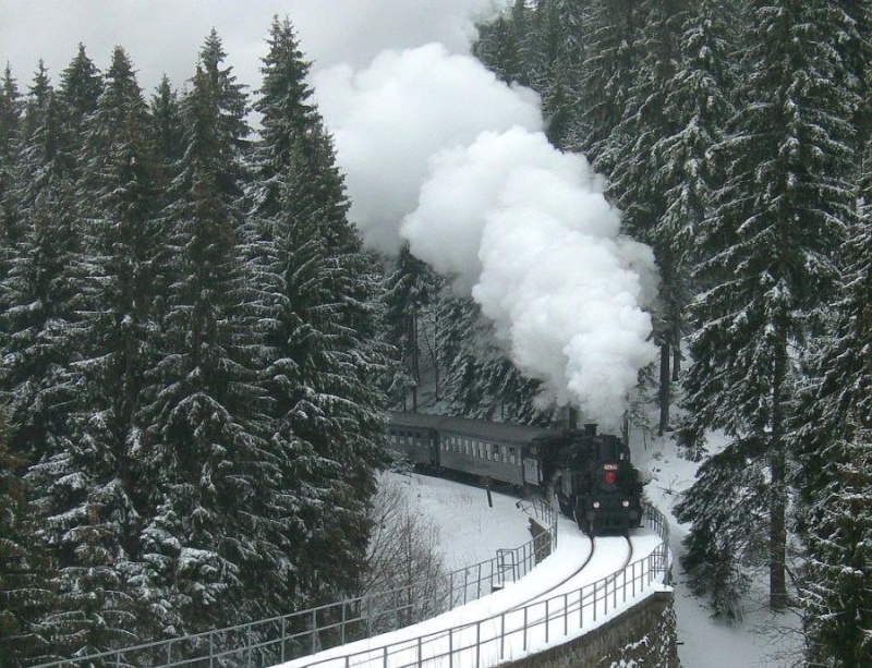 Un viaggio in treno dal 1974 al 2010, passando per il 1980 Treno12