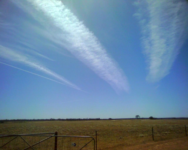 CHEMTRAILS IN THE SKY Img43810