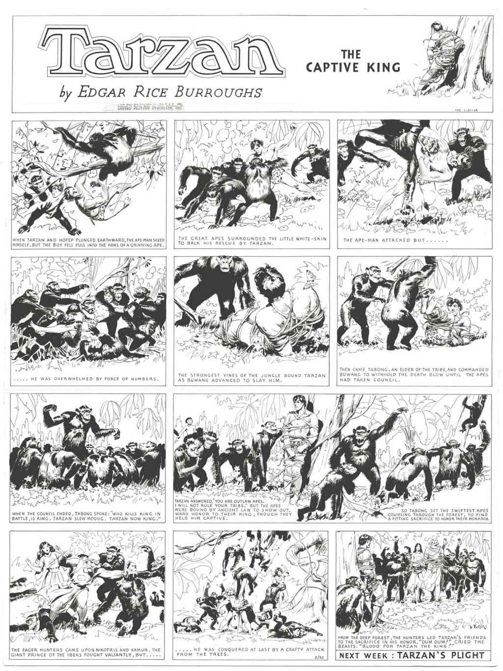 LE TARZAN D'HAL FOSTER - Page 2 Foster13