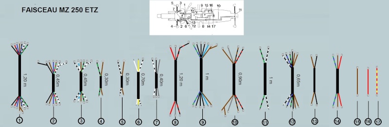 Circuits électriques ETZ Faisce11