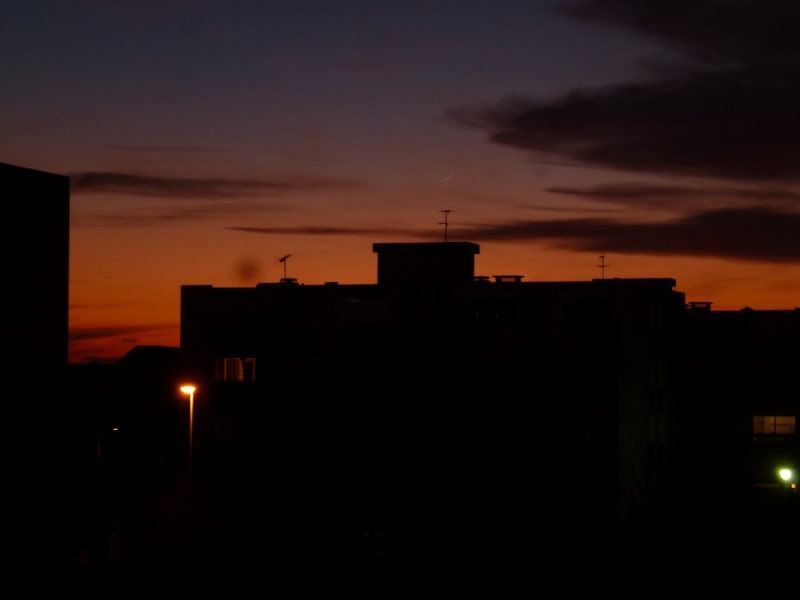 Le ciel va tomber sur notre tête ! - Page 30 P1140113