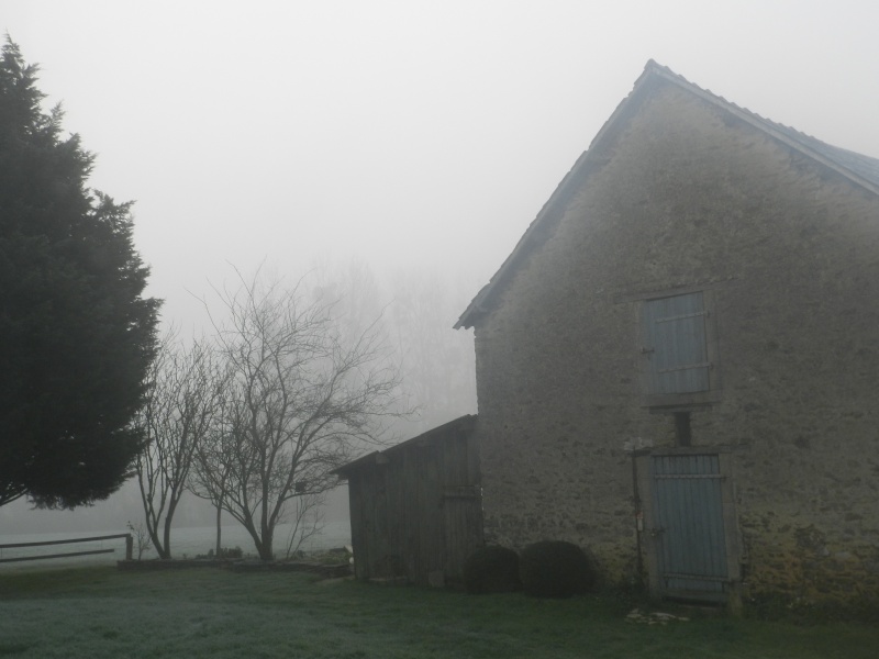 lundi 18 janvier 2016, matins d'hiver Vauvyr34