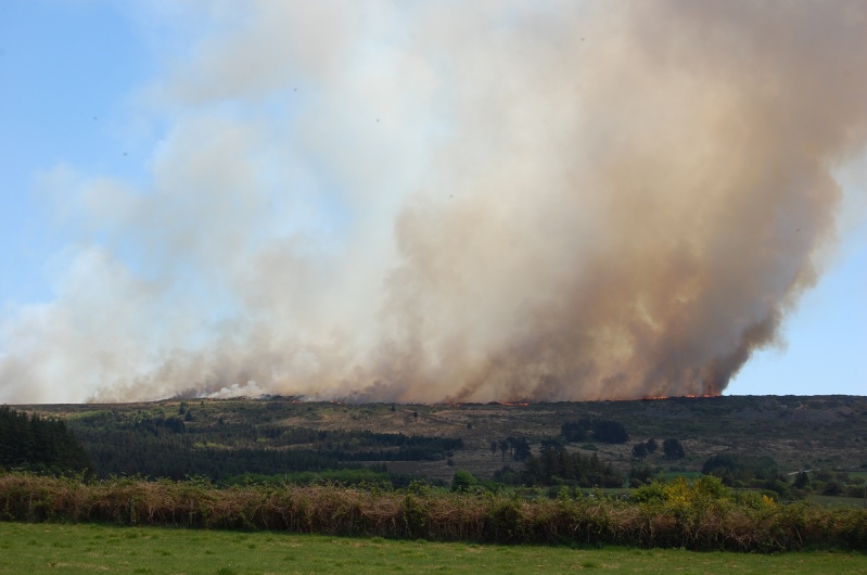 !!! impressionnant feu de landes dans les monts d'arres !!! Feu_mo12