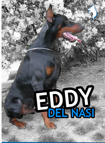 EDDY DEL NASI - Page 2 Pub10