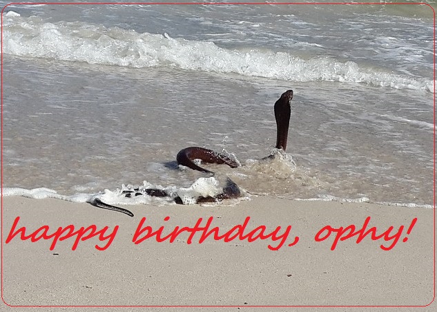 HAPPY BIRTHDAY THREAD - Page 5 Ophi2010