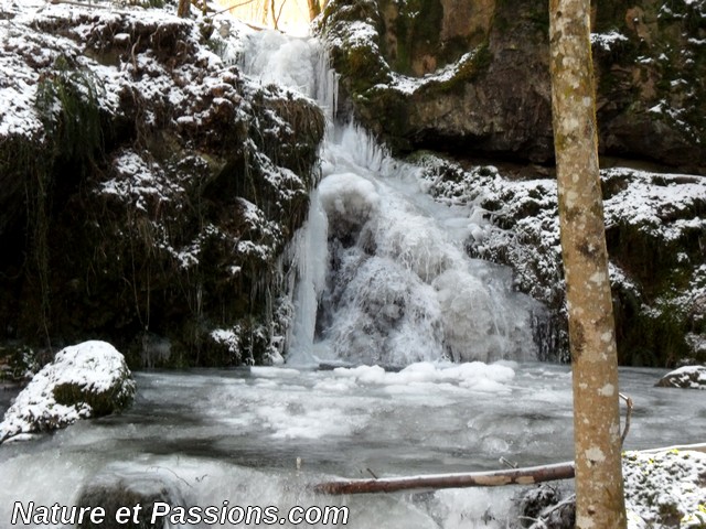 Présentation des photos  concours de janvier 2016 511