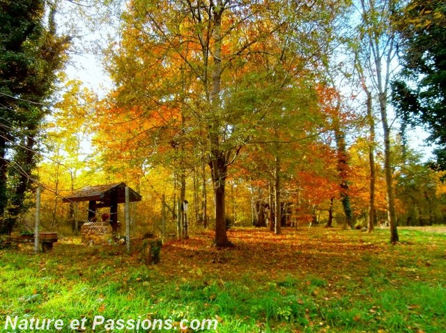 Présentation des photos au concours de novembre A10