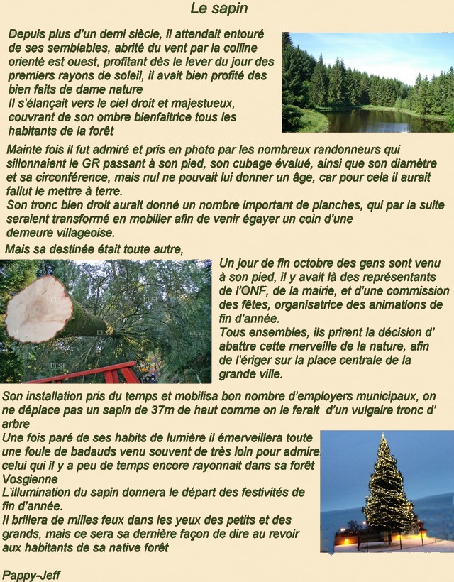 Le sapin de Noël Le_sap11