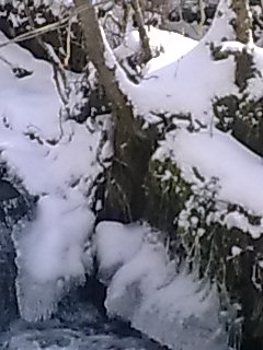 les randos pappy-jeff n°11 sous la neige Photo020