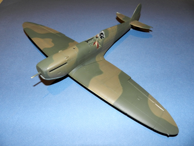 Spitfire Mk. IIa Revell 1/32 [Erik]  - Page 7 Dscn2021