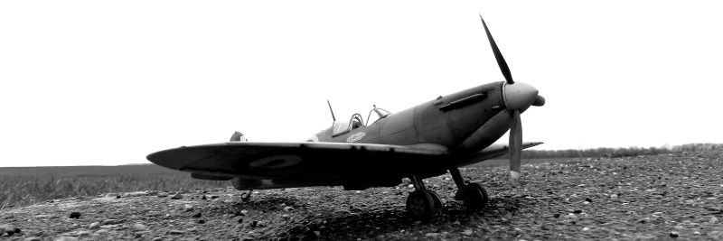 Spitfire Mk. IIa – P7665 YT-L – No 65 Squadron « East India Squadron » RAF – Février 1941 E00810