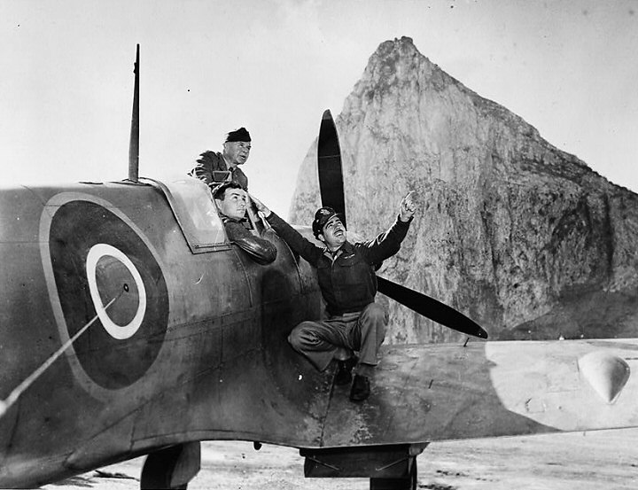 Spitfire Mk. IIa Revell 1/32 [Erik]  - Page 13 Usaaf-13