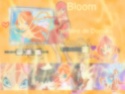 Sondage 5 : Montages sur Bloom Concou11