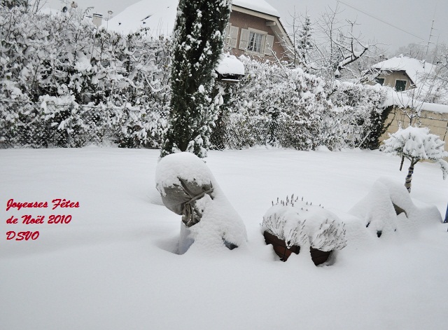 Neige 2010...... Dsc_8016