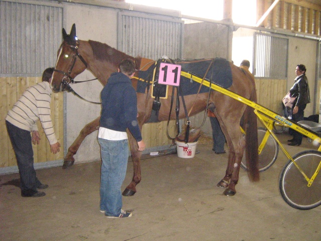 Demain je vais aux courses à Argentan avec mon patron Img_2642