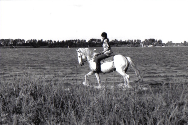 Qui est déjà allé en Camargue se ballader à cheval ? Yonna_12