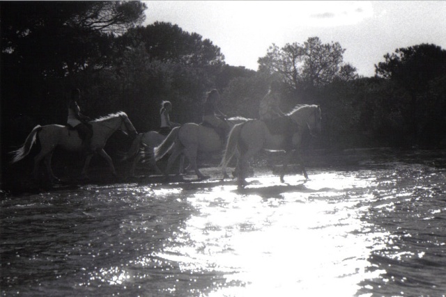 Qui est déjà allé en Camargue se ballader à cheval ? Yonna_15