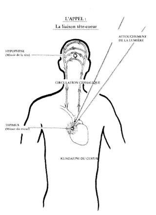 La Kundalini Image_13