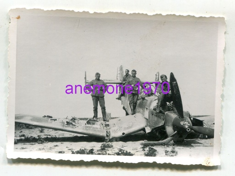 Crash d'un Loire-Nieuport Ane6910
