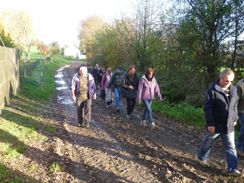 sortie du 22 novembre 2015- saint aubin du pavail P1110215