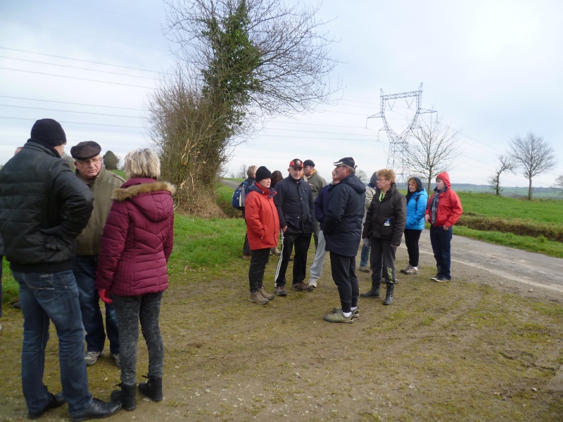 sortie du 17 janvier 2016- Coesmes / Galettes des rois P1110316