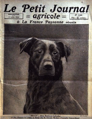 Premier Labrador en couverture d'un journal en France ? Journa10