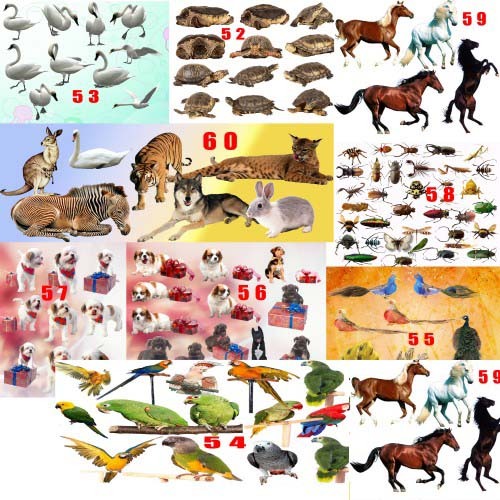 Hayvanlar ve böcekler (PSD. dosyaları) Fl1pmw10