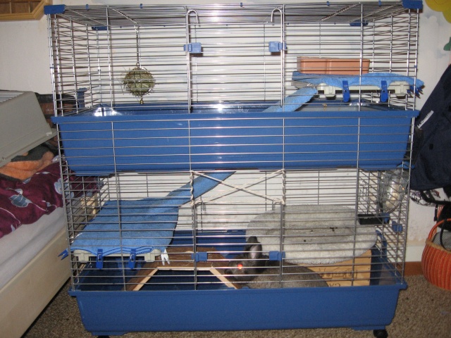 Habitation des lapins : exemples de cages, enclos ... - Page 8 Photo_10