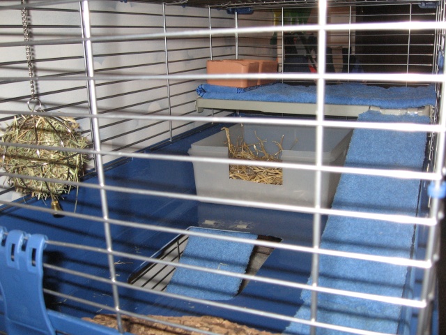 Habitation des lapins : exemples de cages, enclos ... - Page 8 Photo_12