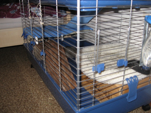 Habitation des lapins : exemples de cages, enclos ... - Page 8 Photo_13
