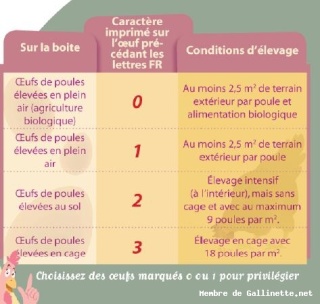 la surface d'un poulailler enclos compris pour 10 poules. Aaa_oe12