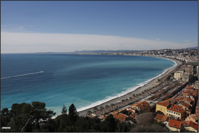 Une journe au Carnaval de Nice (2010-02-21) Nice_212