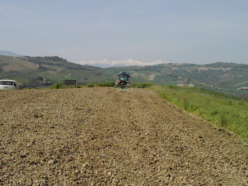 Sistemazione campo di volo - Pagina 6 Foto0222