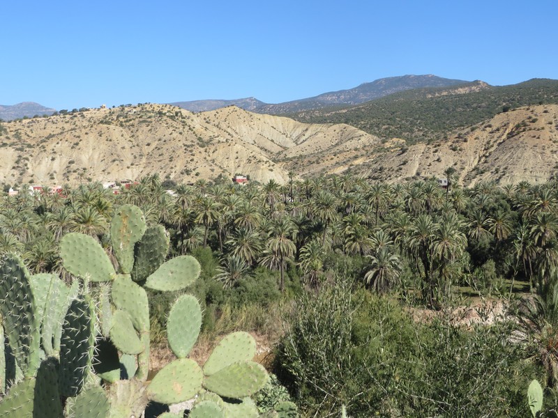 [Campings M : Découverte] VALLEE DU PARADIS Maroc_57