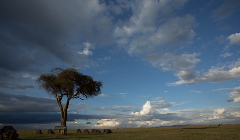 Mara North and Ol Pejeta - October 2015 - Page 2 Ou5a2712
