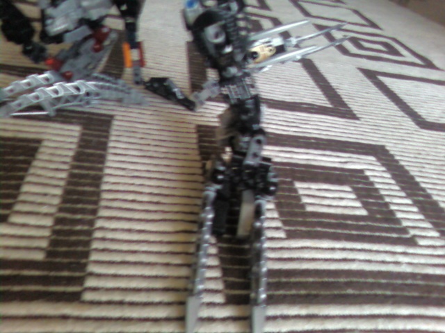 Bionicle BSM : Ultimate contest n°1 (terminé) - Page 3 Photo014