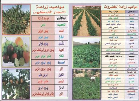 جدول لاوقات زراعة اشجار الفاكهه المختلفة