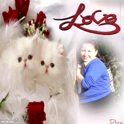 Montage de ma famille - Page 2 2zxda-10