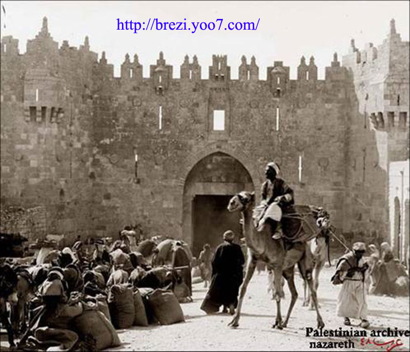 صور من فلسطين القديمة Image110