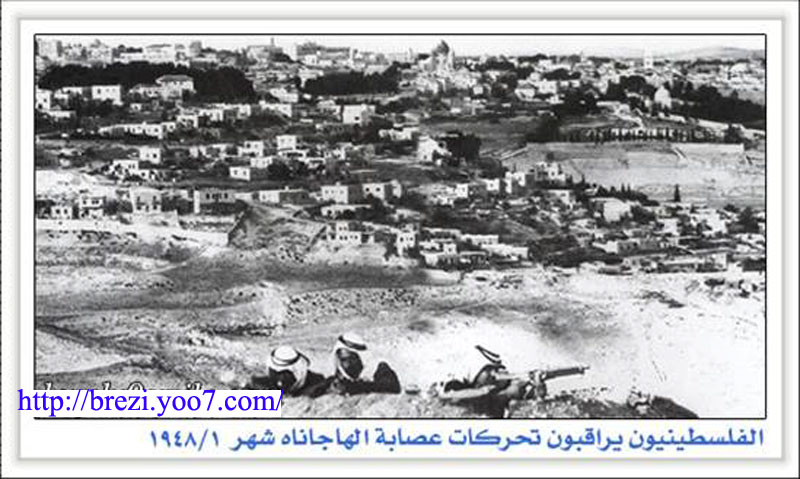 صور من فلسطين القديمة Image111