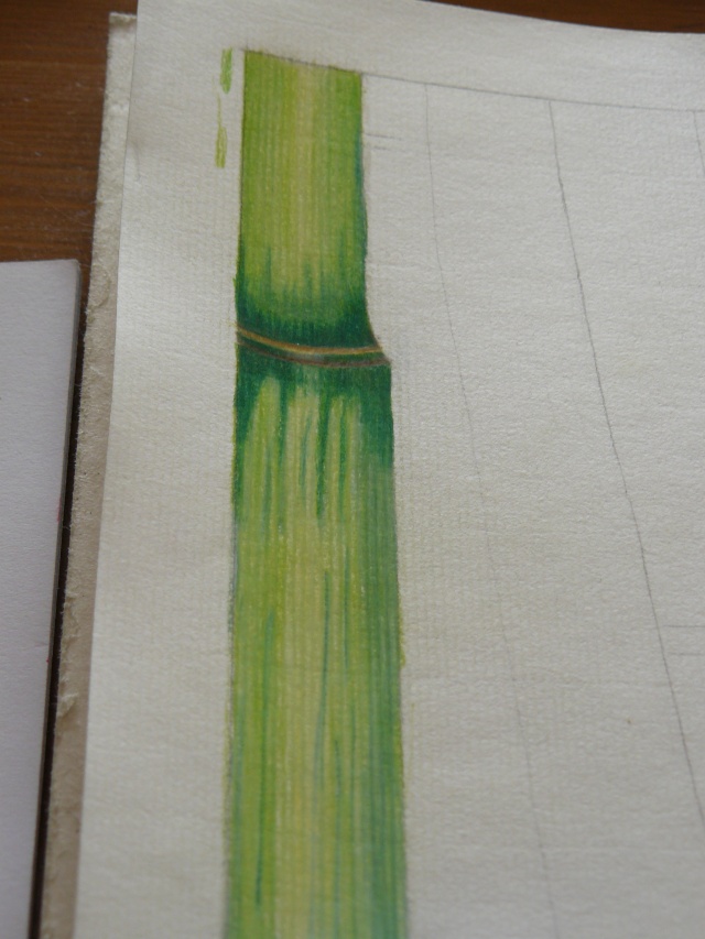 Les bambous par Mika, Rome, Sweety et Wendy :-) - Page 2 2_ratt10