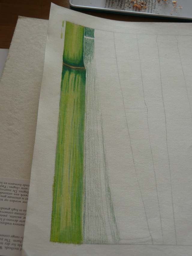 Les bambous par Mika, Rome, Sweety et Wendy :-) - Page 2 3_2ame10