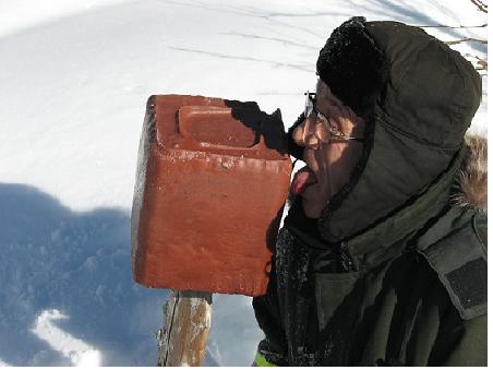 Montré nous vos instalation Cache,chalet,saline,chevreuil Vacanc13