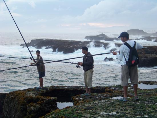 La pêche ,le poisson,le port,les marins à Mogador/Essouira 14740910