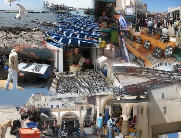 La pêche ,le poisson,le port,les marins à Mogador/Essouira Essaou35