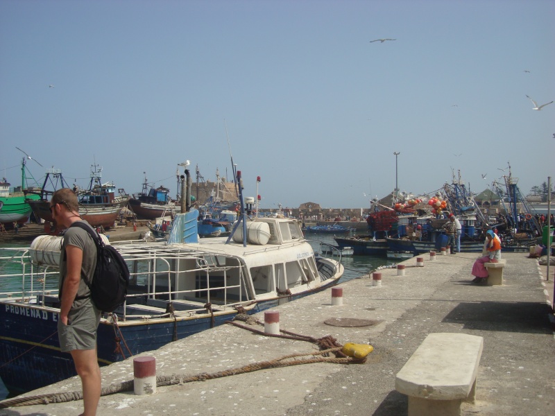 La pêche ,le poisson,le port,les marins à Mogador/Essouira Essaou37
