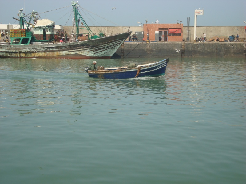 La pêche ,le poisson,le port,les marins à Mogador/Essouira Essaou39